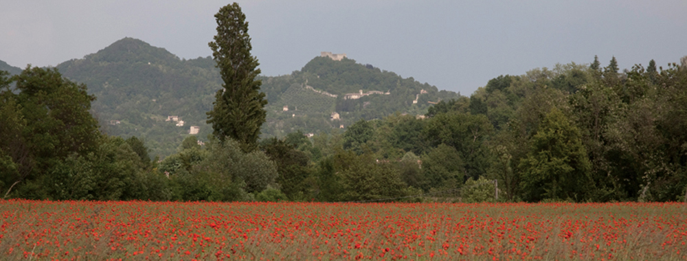 asolo